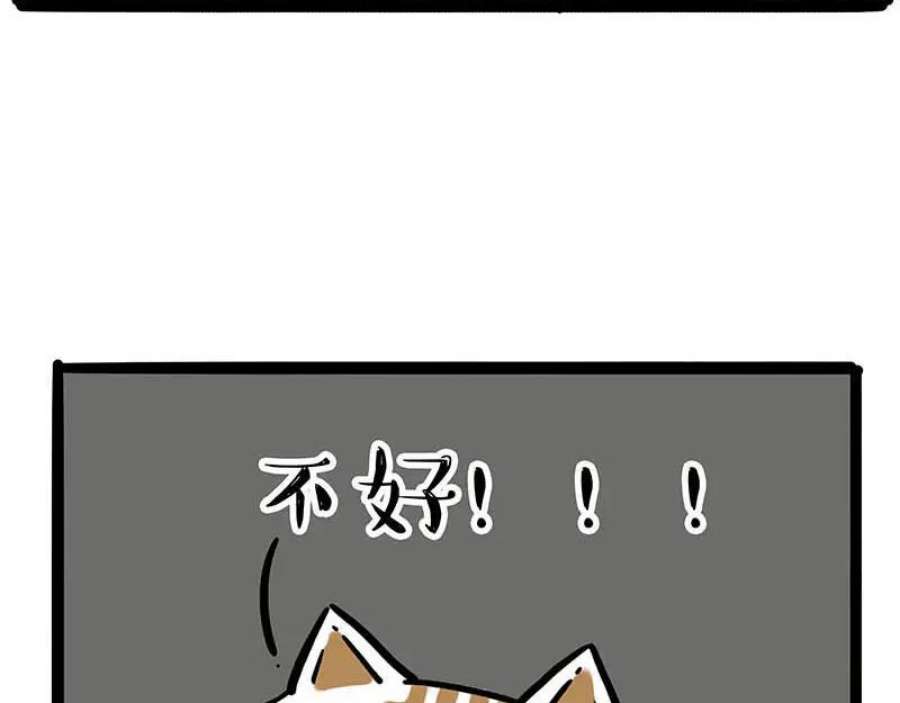 56.jpg