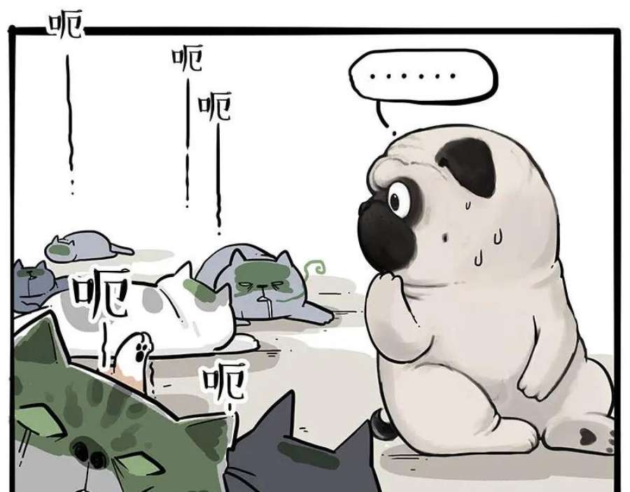 66.jpg