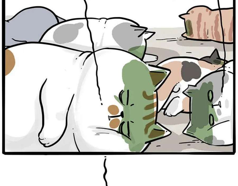 68.jpg