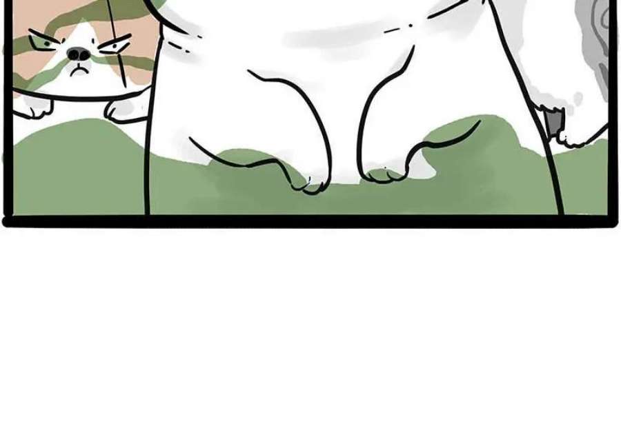 63.jpg