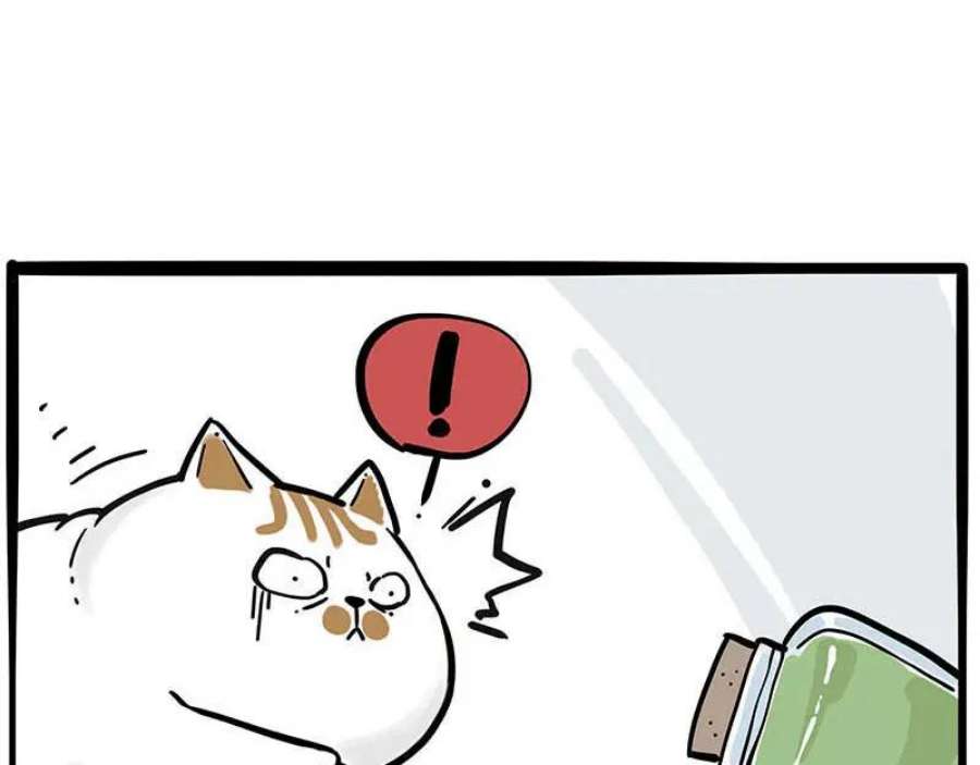 51.jpg