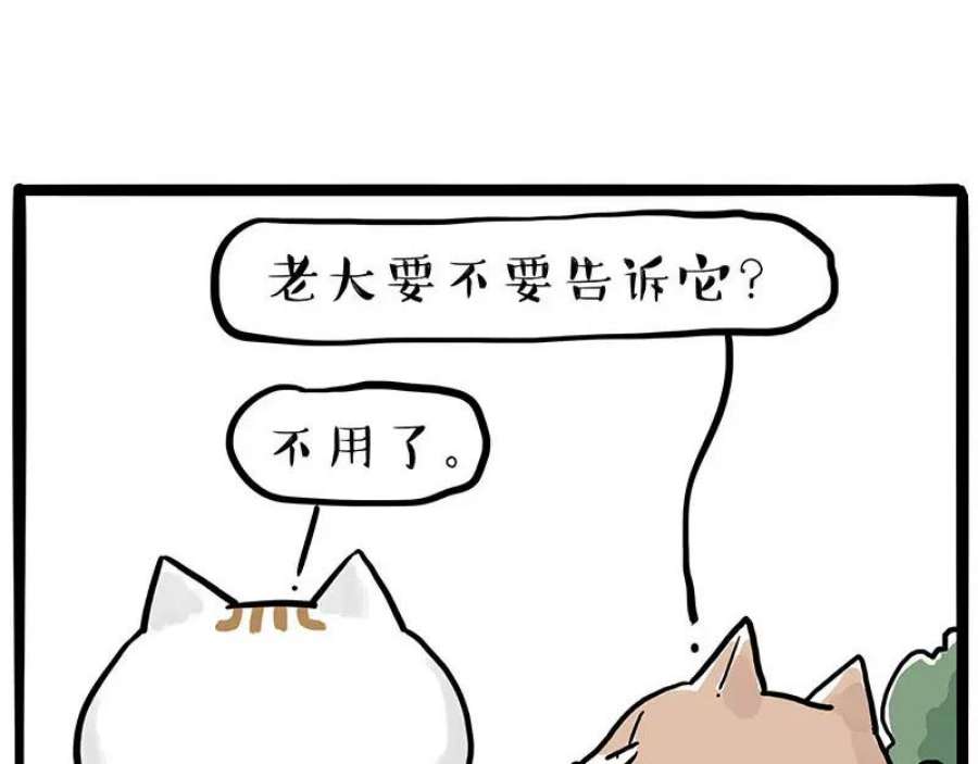 77.jpg