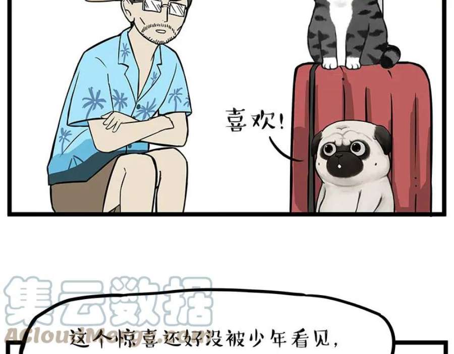 31.jpg