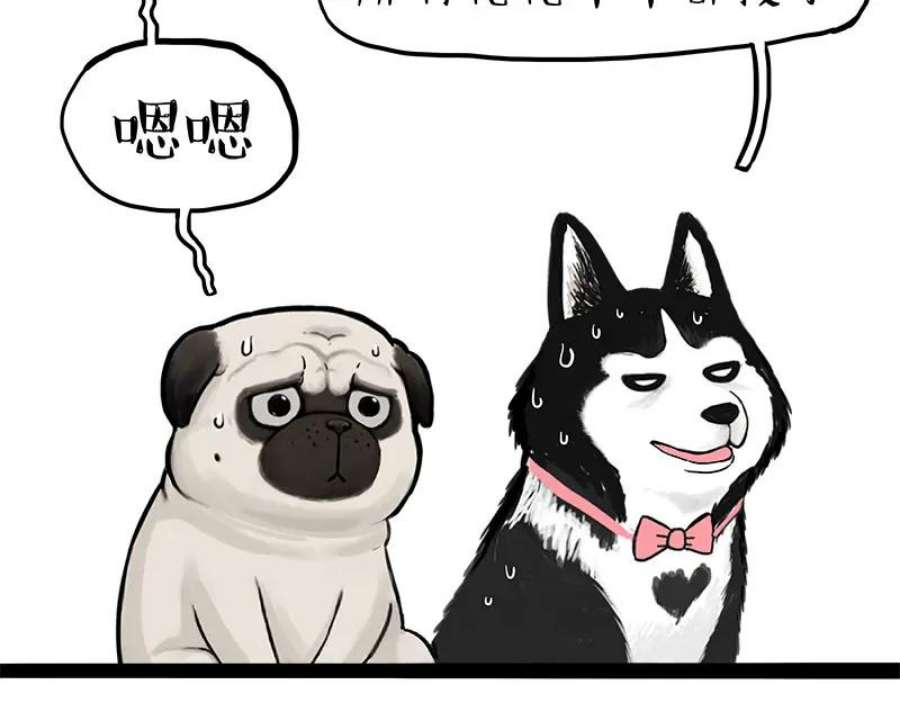 54.jpg