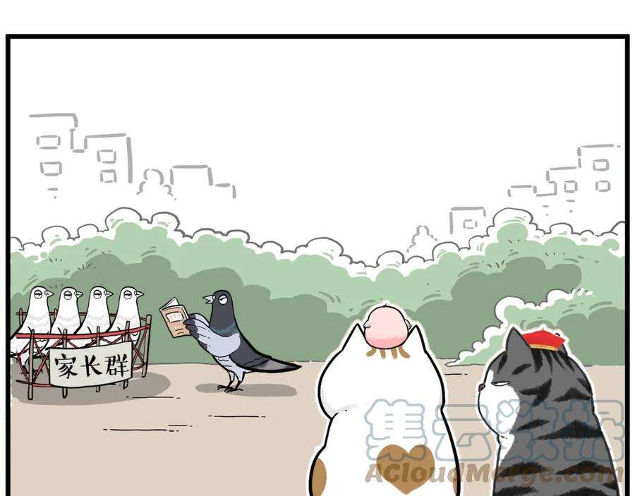 61.jpg