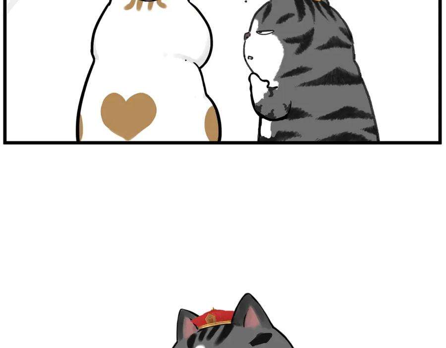 66.jpg
