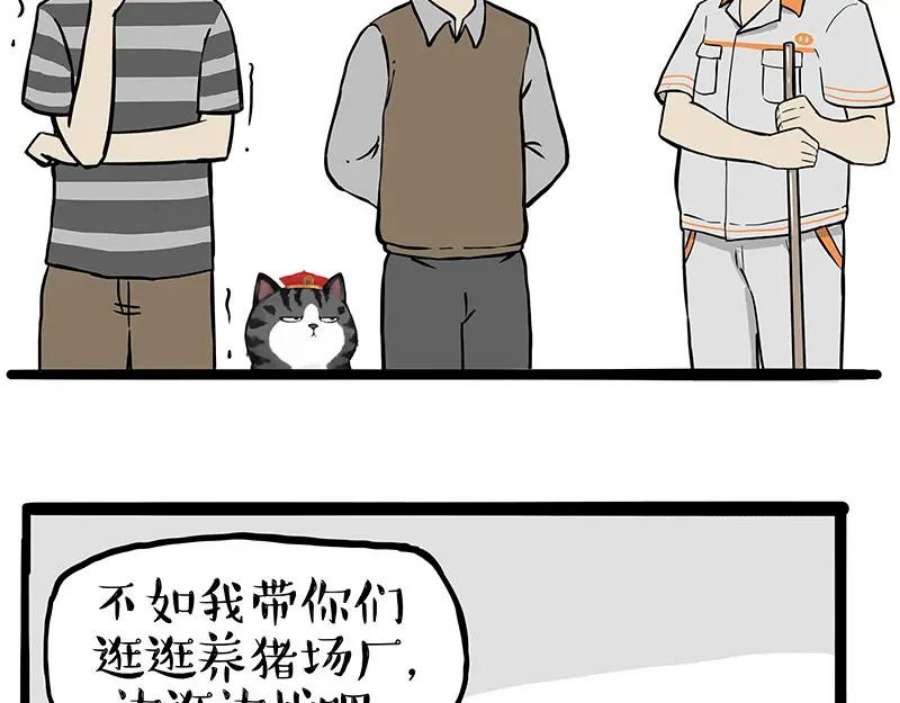 35.jpg