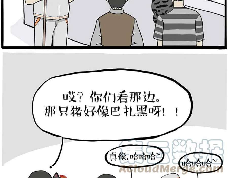 43.jpg