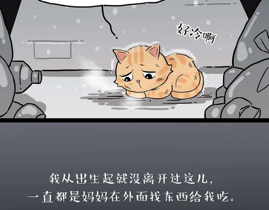 48.jpg
