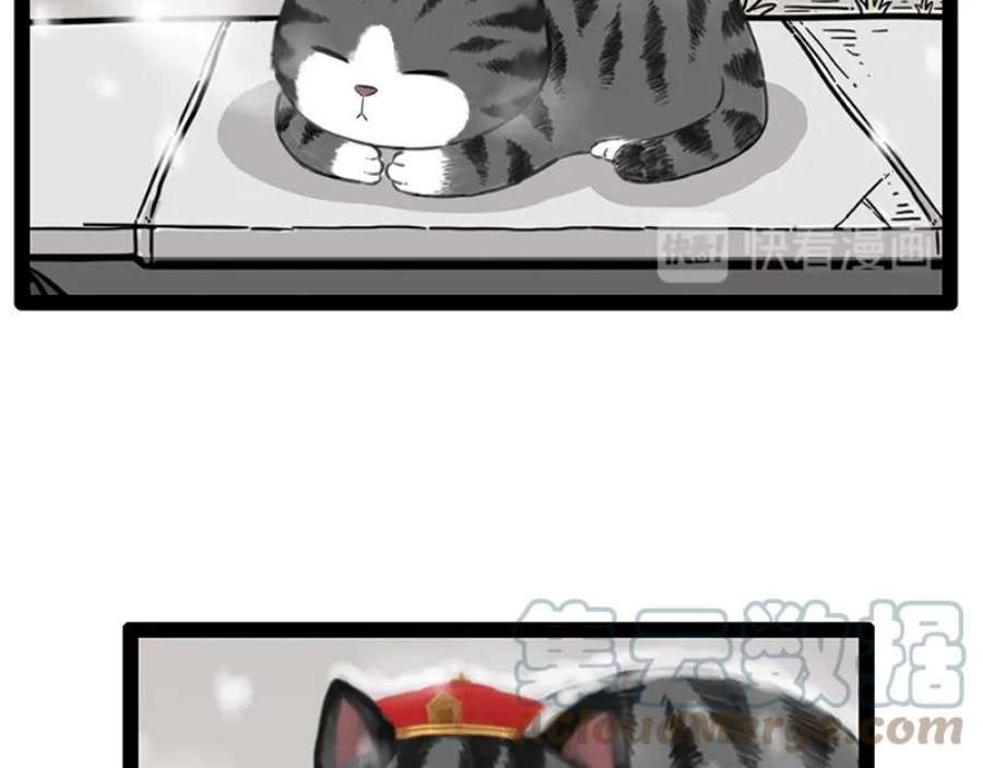 79.jpg