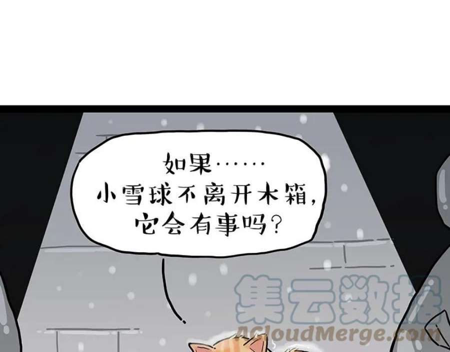 73.jpg