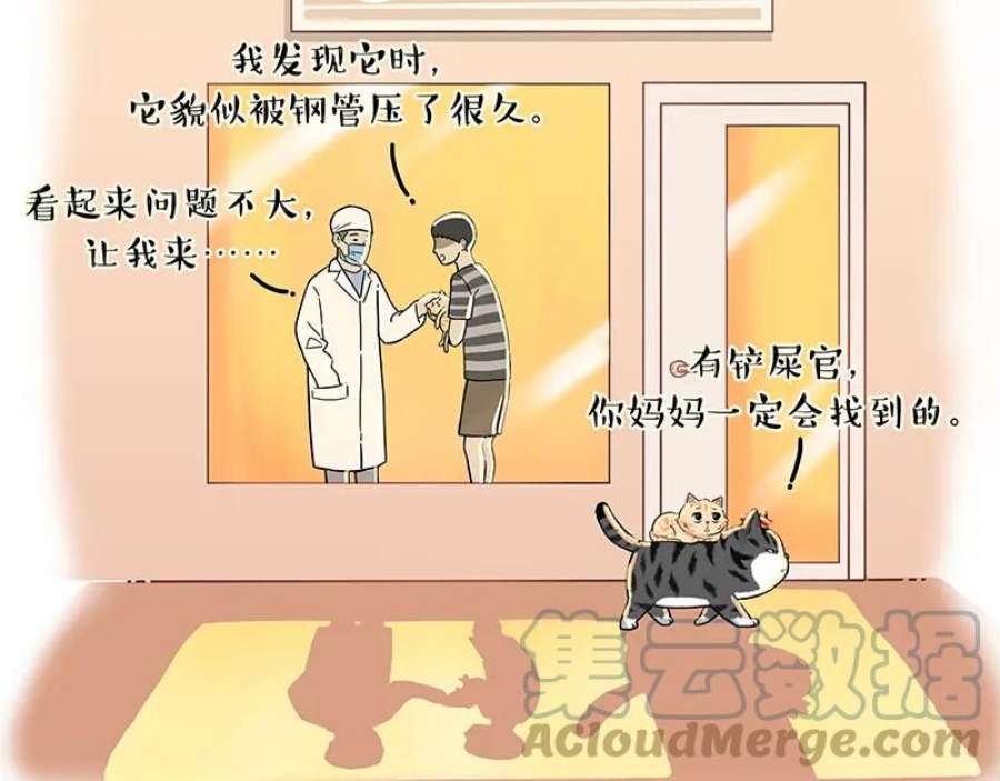 85.jpg