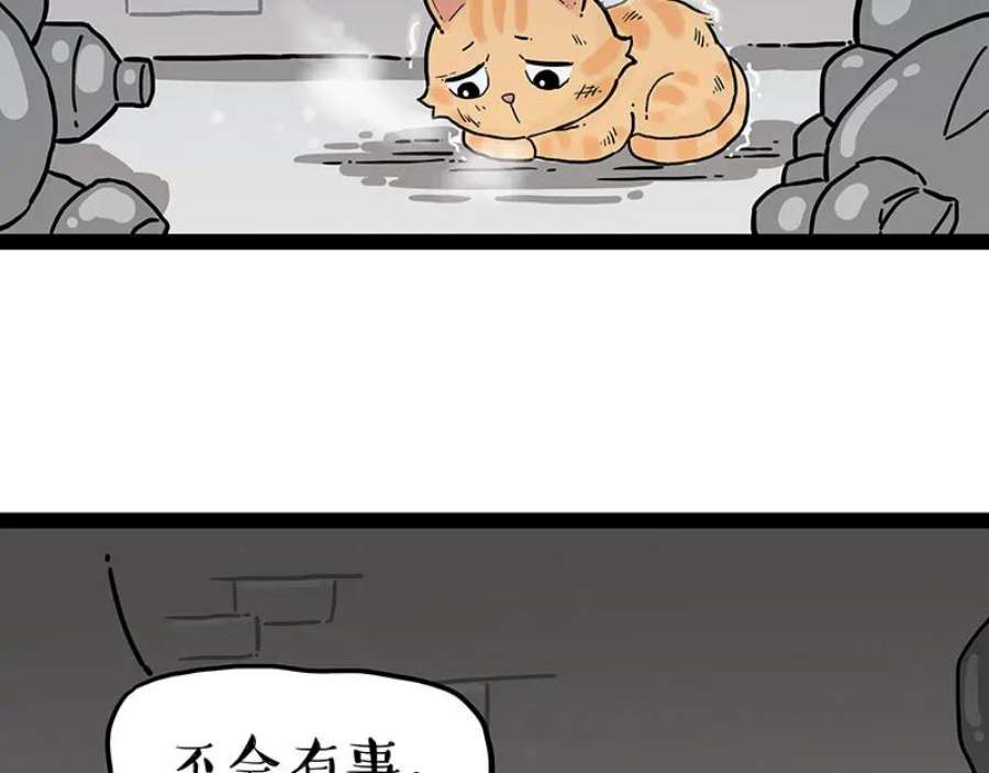 74.jpg