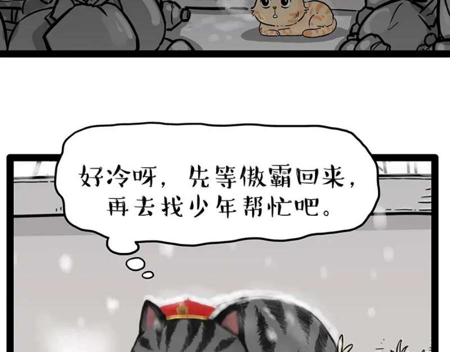 78.jpg