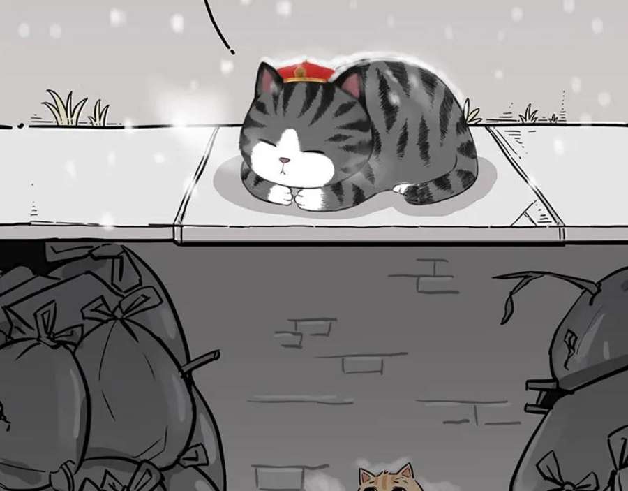 77.jpg
