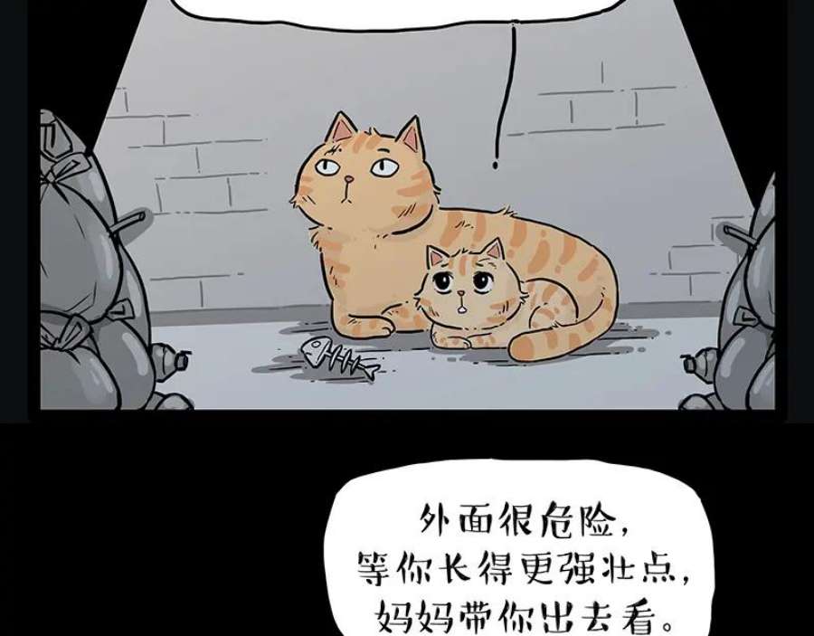 53.jpg