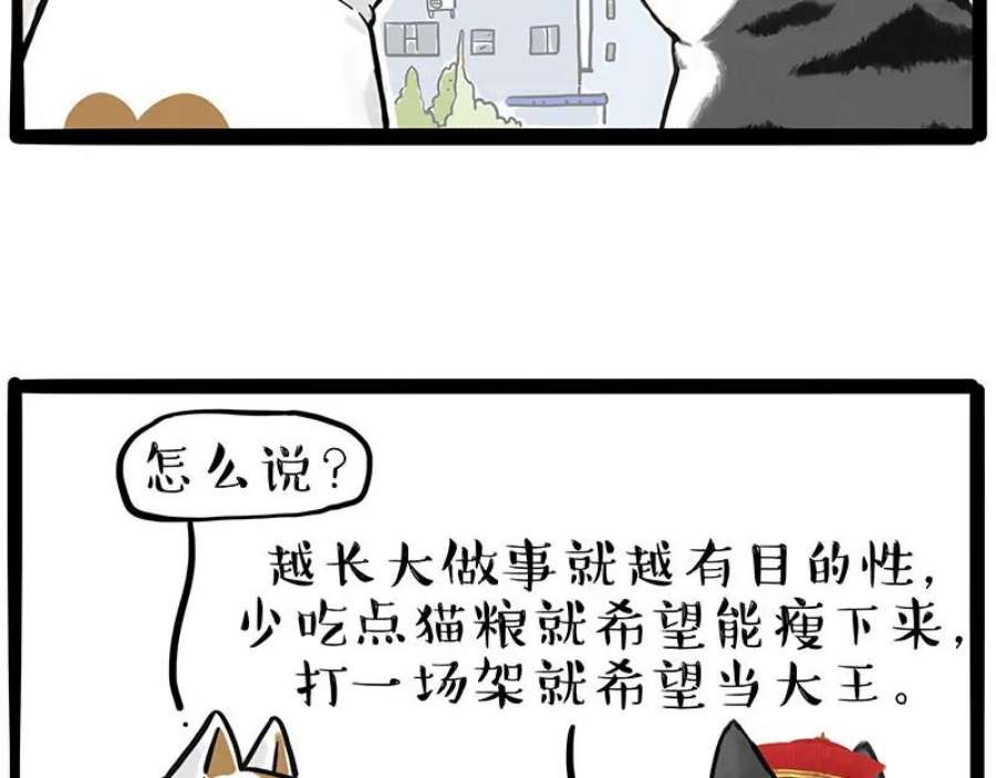 53.jpg