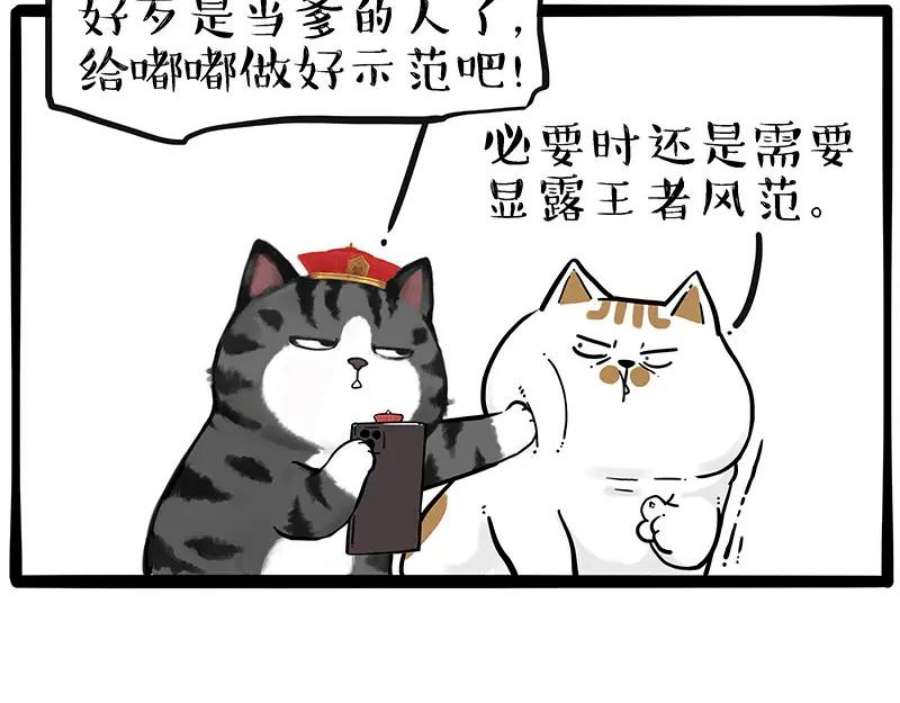 45.jpg