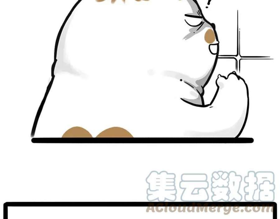58.jpg