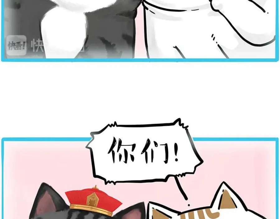 38.jpg