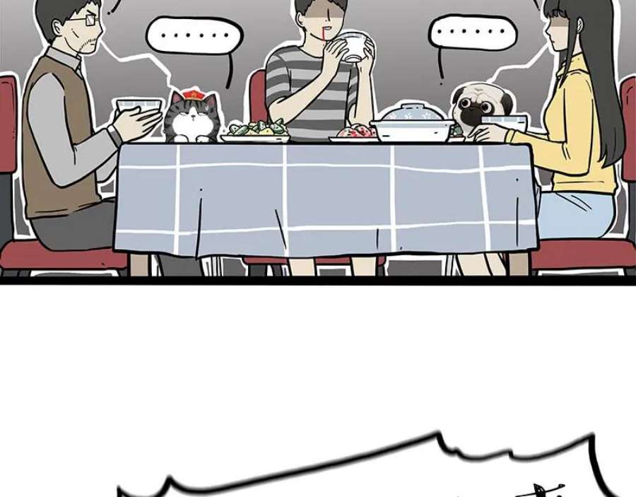 62.jpg