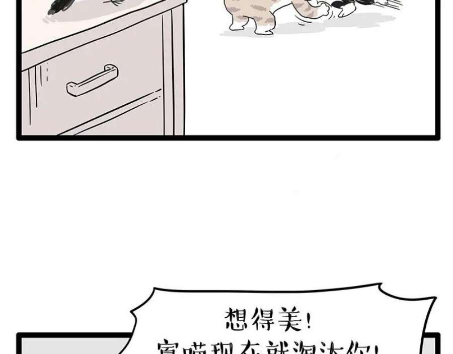 47.jpg