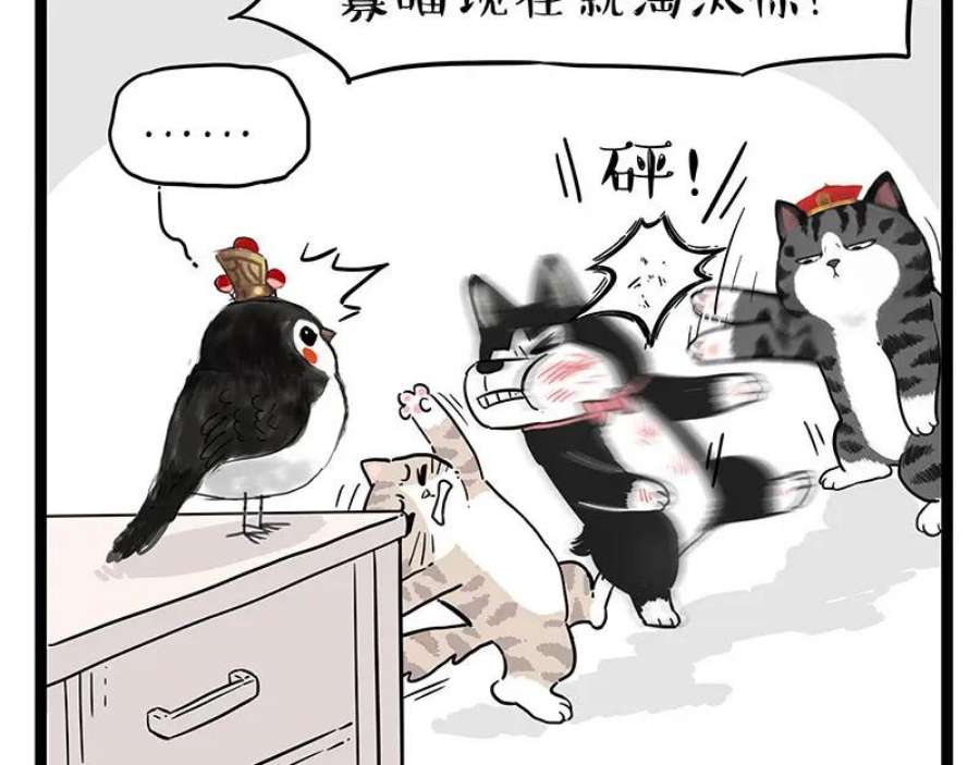 48.jpg