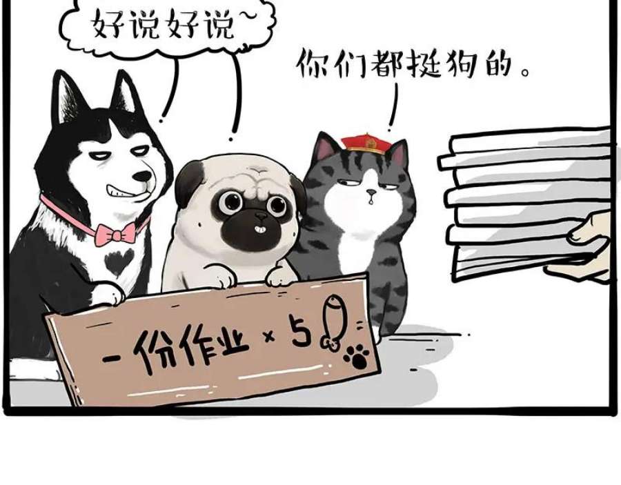 63.jpg