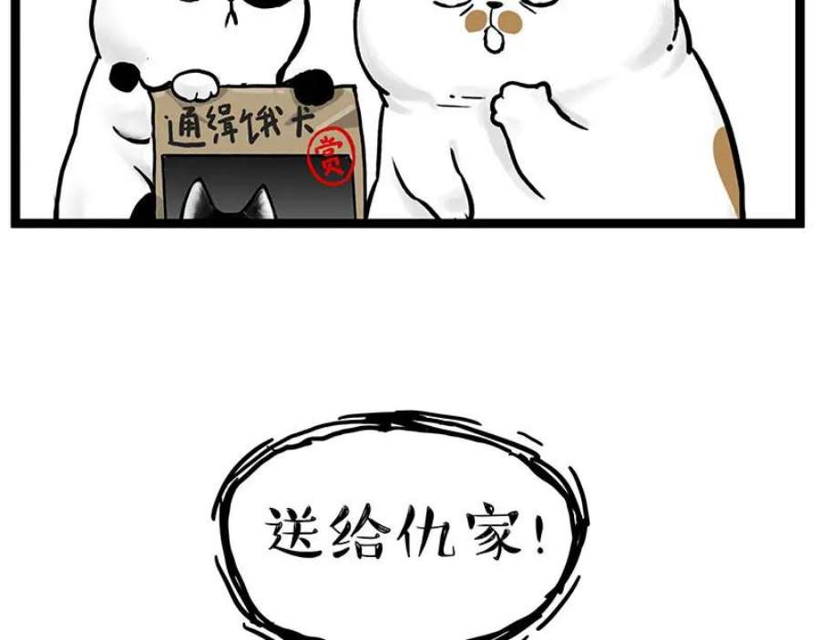 56.jpg