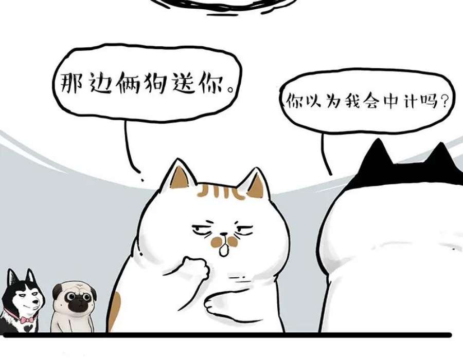 57.jpg