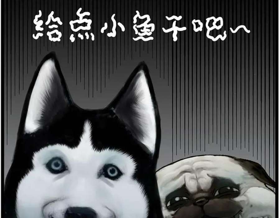 47.jpg