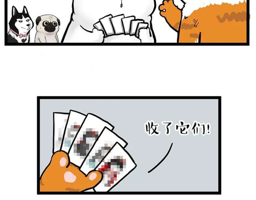 62.jpg