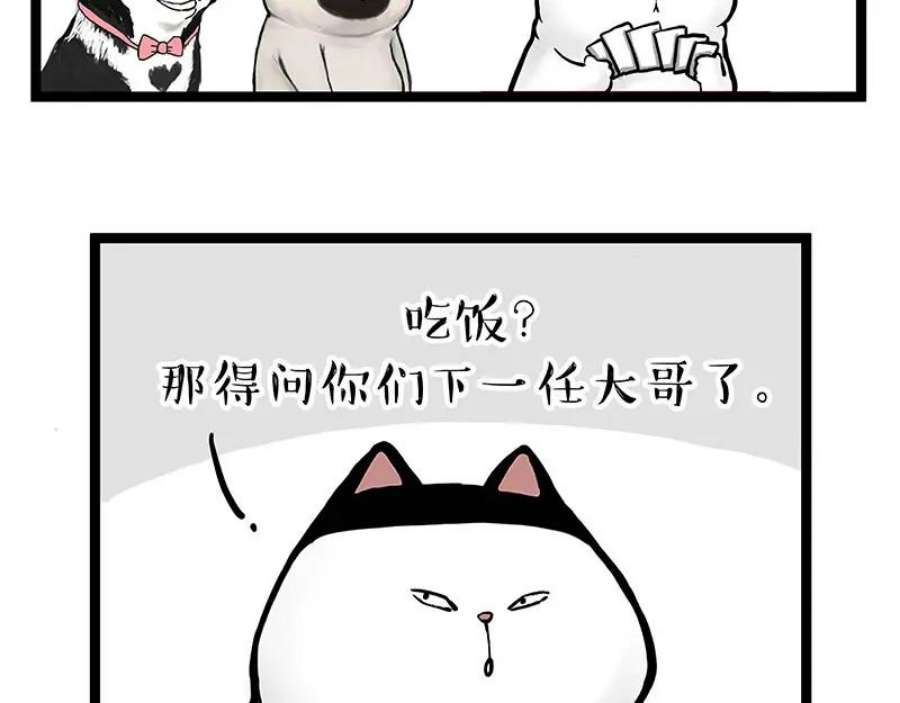 60.jpg