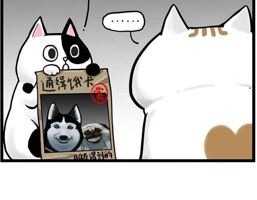 53.jpg