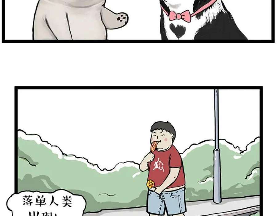 44.jpg
