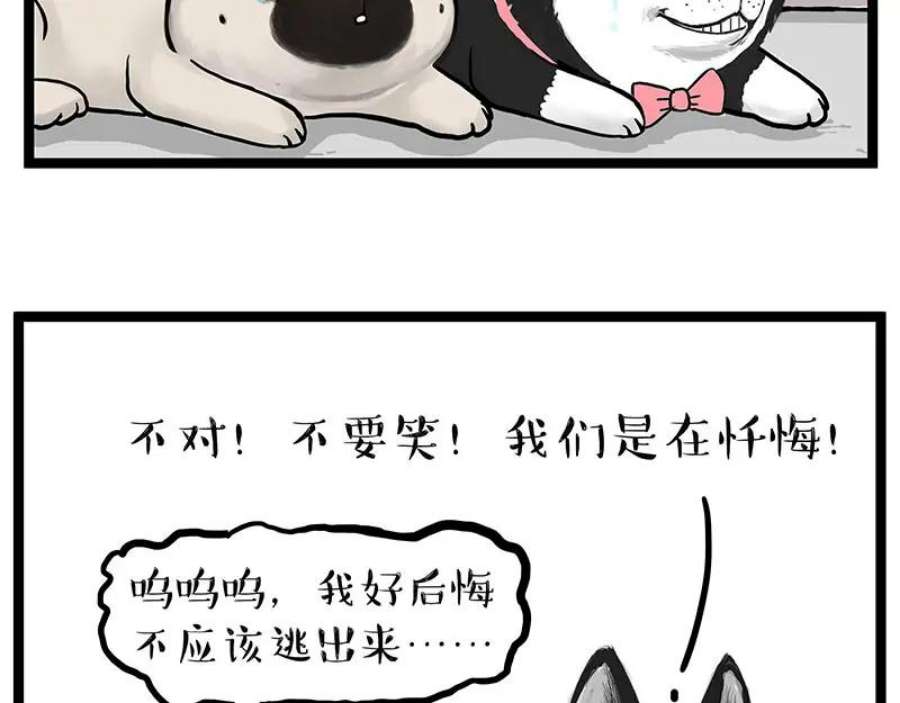 68.jpg