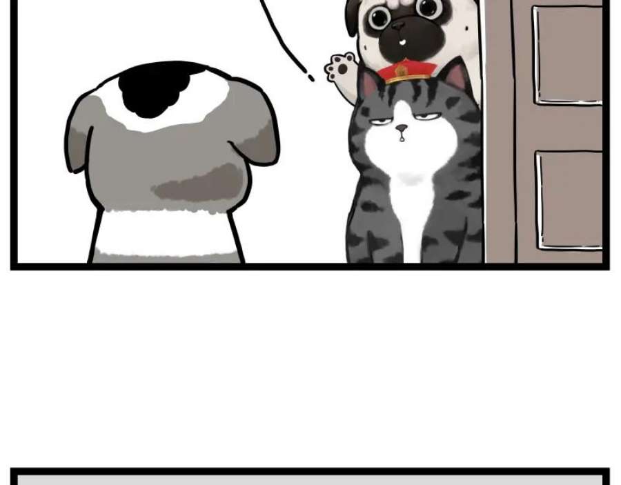 50.jpg