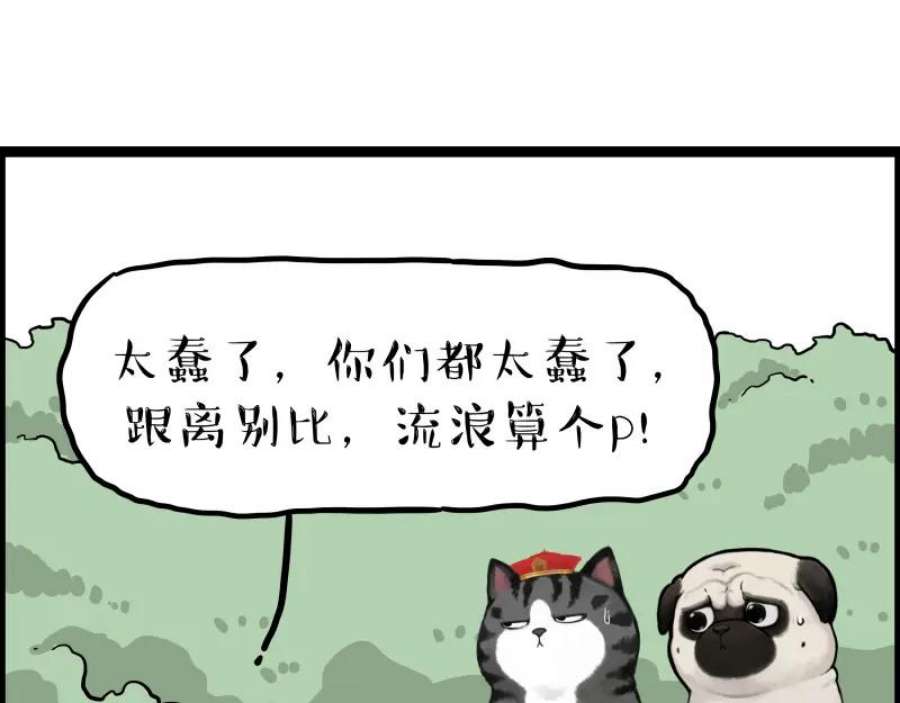 81.jpg