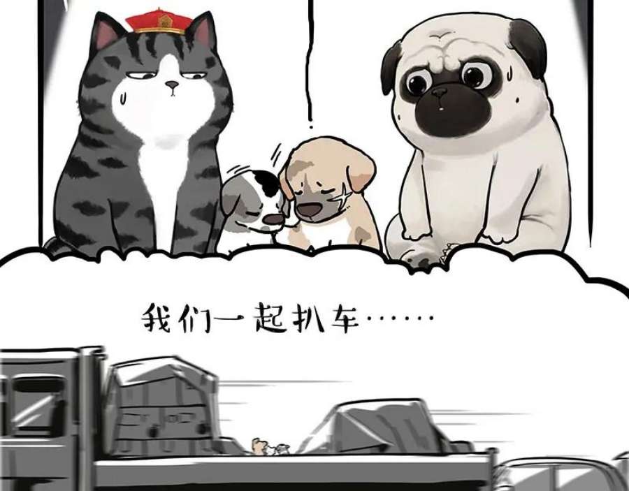 20.jpg