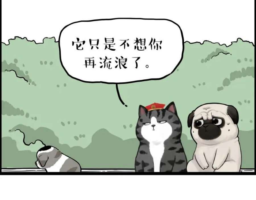 80.jpg