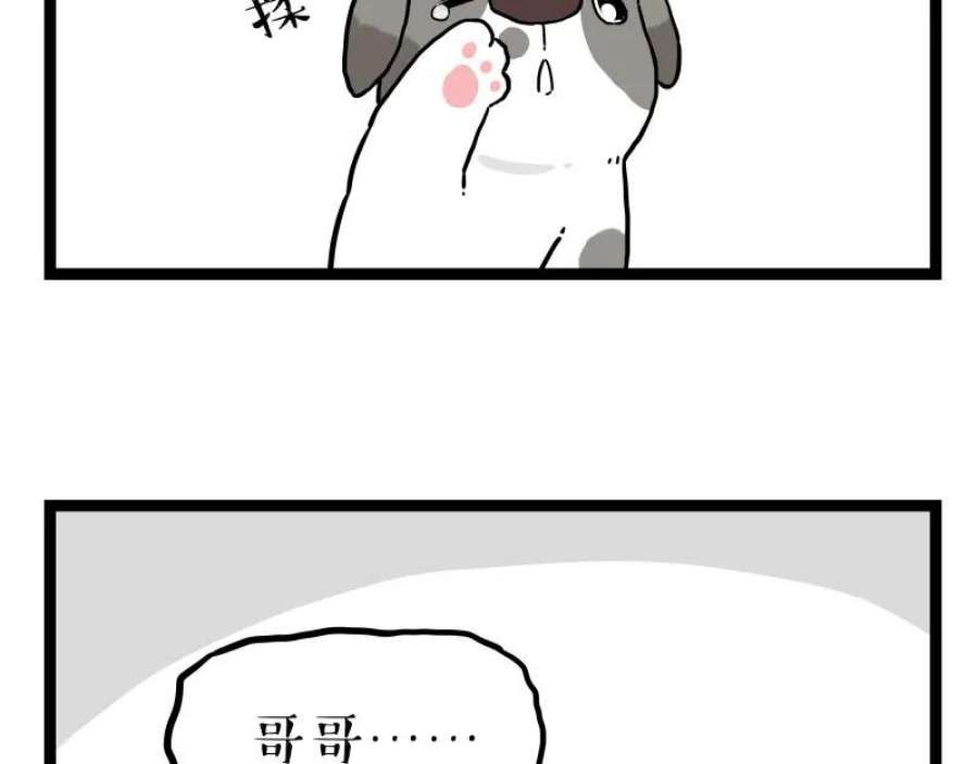 41.jpg