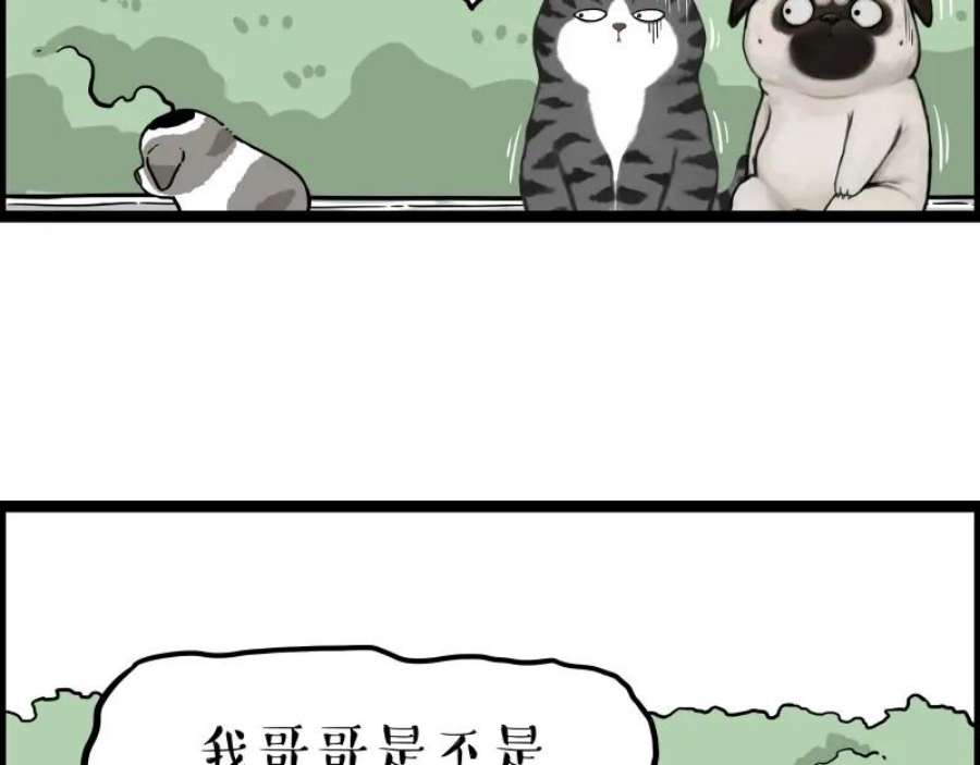78.jpg