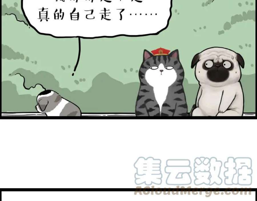 79.jpg