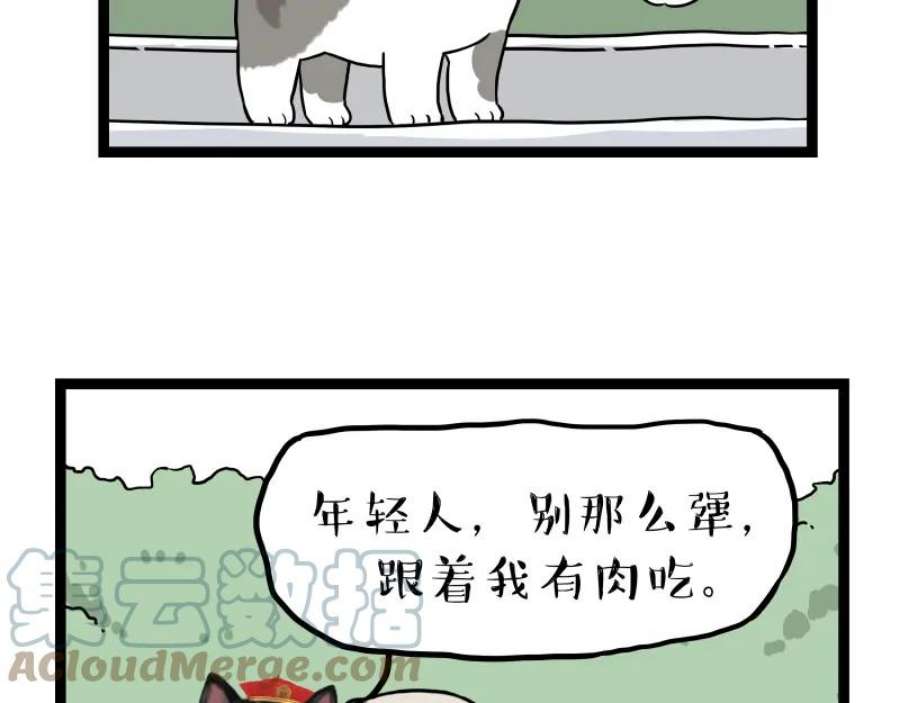 73.jpg
