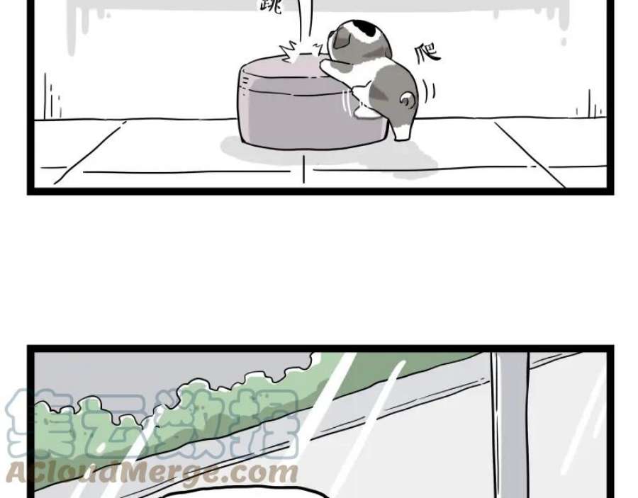 55.jpg