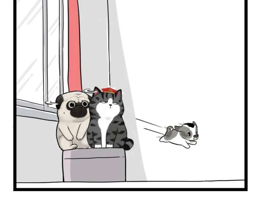 60.jpg