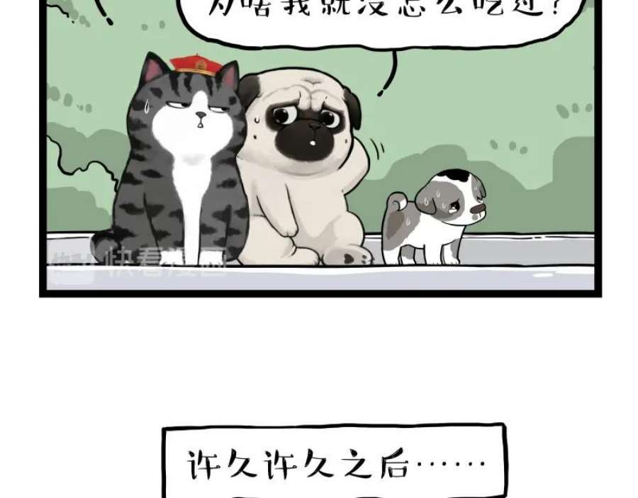 75.jpg