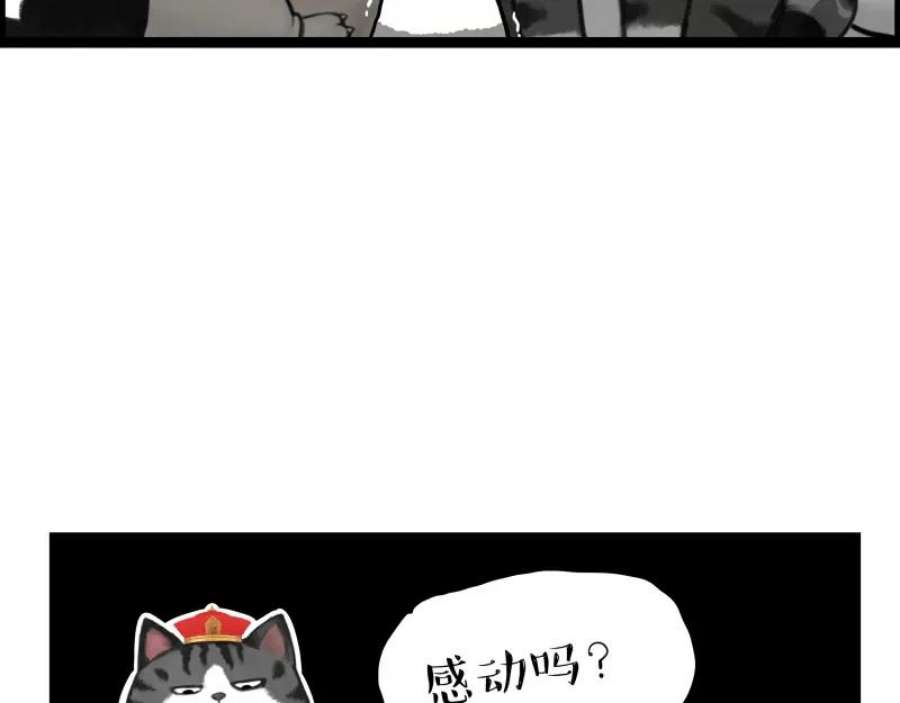 93.jpg