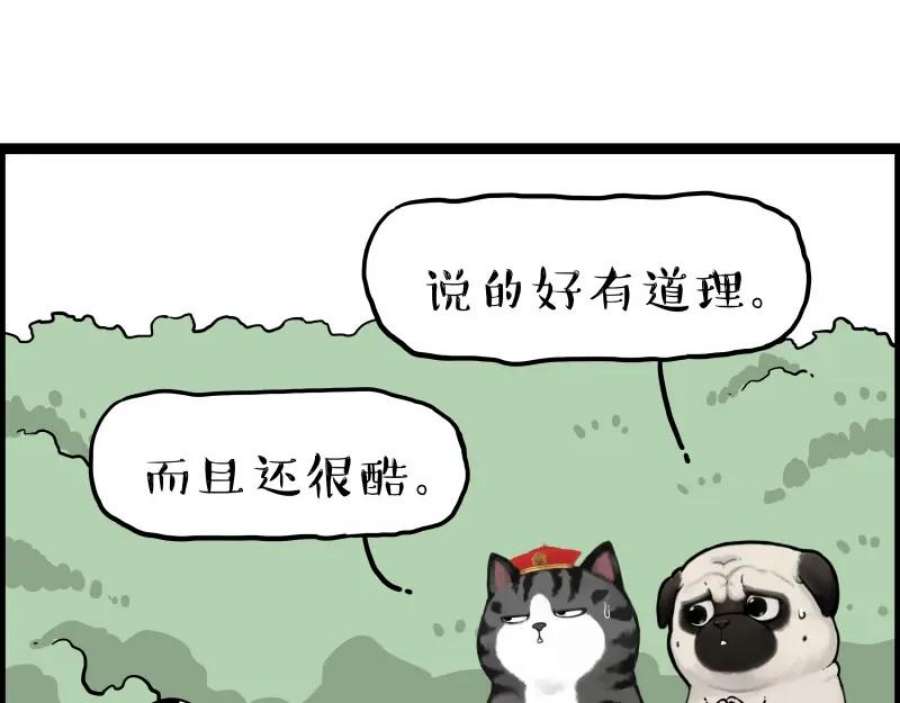 83.jpg