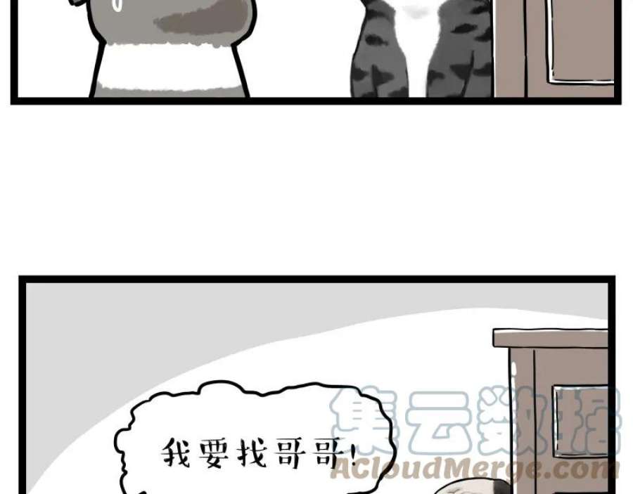 52.jpg